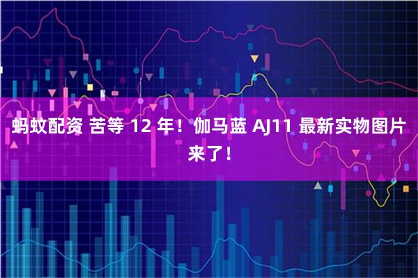 蚂蚊配资 苦等 12 年！伽马蓝 AJ11 最新实物图片来了！