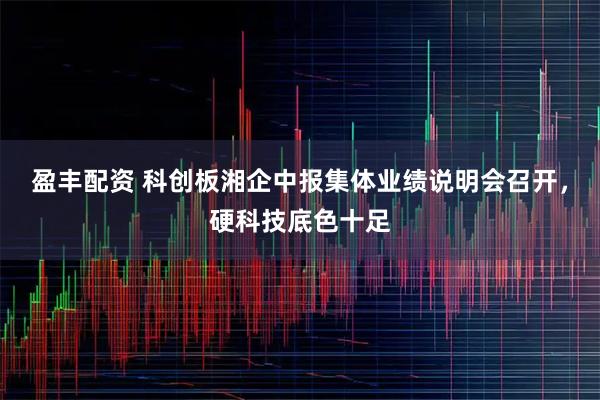 盈丰配资 科创板湘企中报集体业绩说明会召开，硬科技底色十足