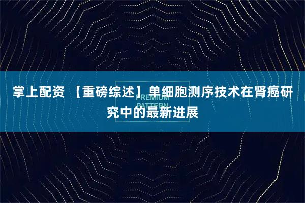 掌上配资 【重磅综述】单细胞测序技术在肾癌研究中的最新进展
