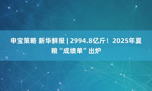 申宝策略 新华鲜报 | 2994.8亿斤！2025年夏粮“成绩单”出炉