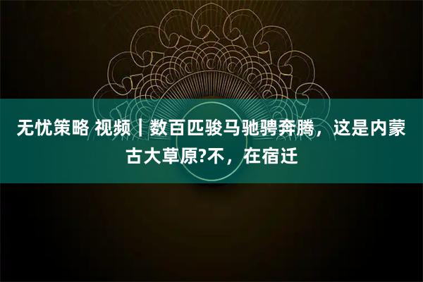 无忧策略 视频｜数百匹骏马驰骋奔腾，这是内蒙古大草原?不，在宿迁